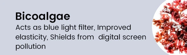 Key Ingredient 2