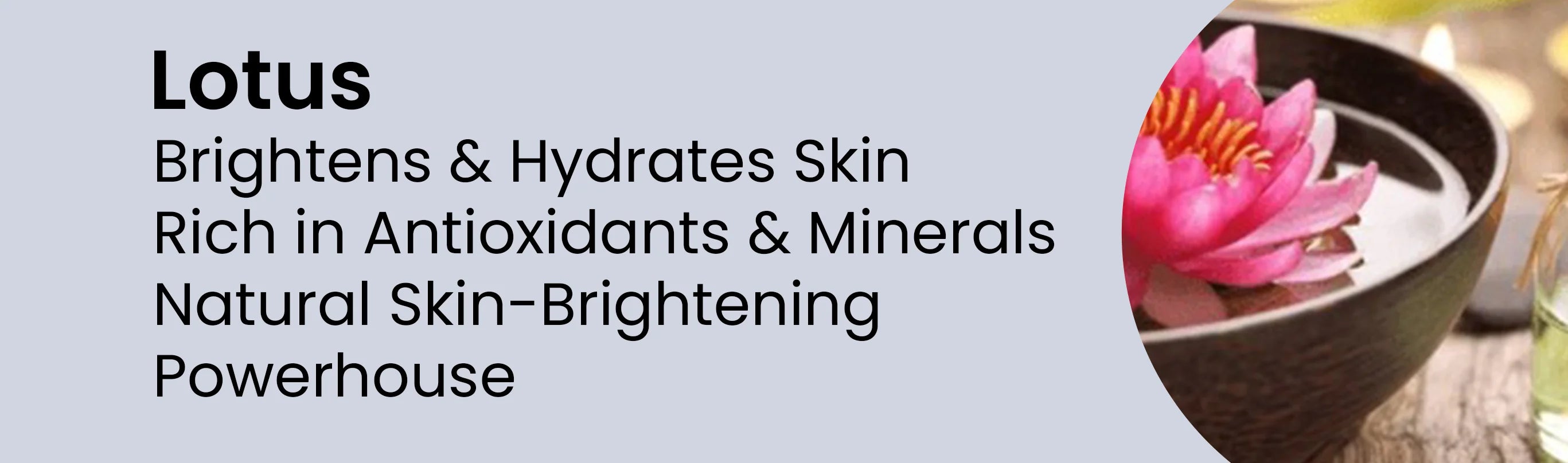 Key Ingredient 3