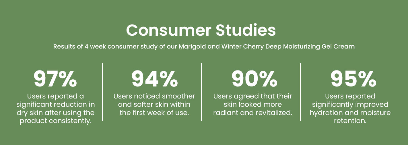 Consumer Studies