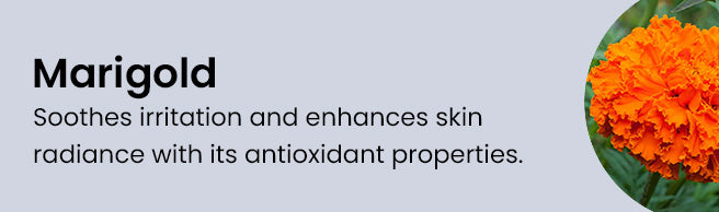 Key Ingredient 5