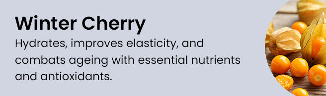 Key Ingredient 6