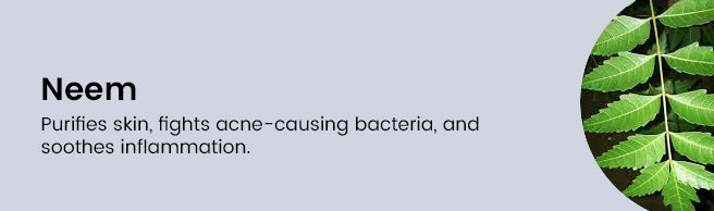 Key Ingredient 6