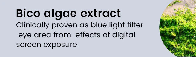 Key Ingredient 2