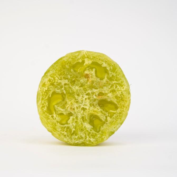 Aloe Vera Handcrafted Foot Scrub with Luffa Fibre- vanaura organics
