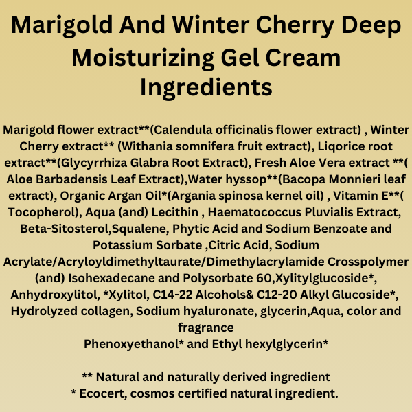 90 Days Bright and Replenish Daily Skin care Routine for Dry and Dull skin- CTM - Vanaura Organics