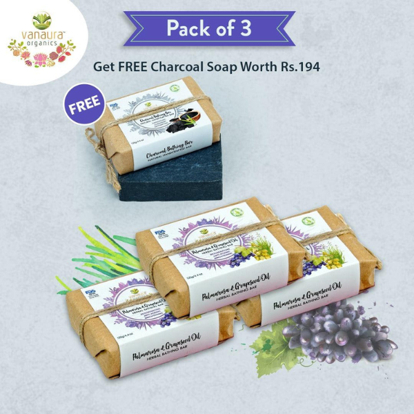 Refreshing Oil Bars and Charcoal Detox - Vanaura Organics