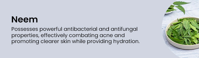 Key Ingredient 5