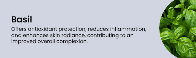 Key Ingredient 6
